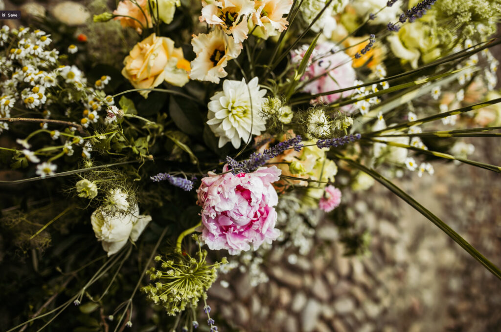 Colorful flowers close-up photos