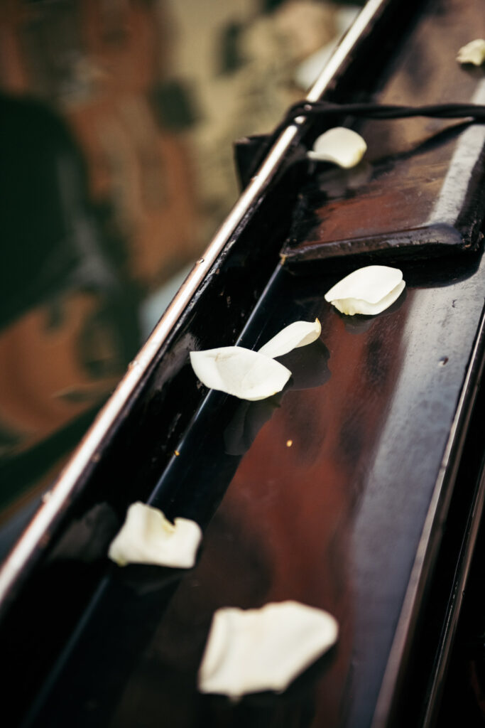 White rose petals on the gondola before a symbolic ceremony on the canals of Venice